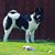 Linda Hoover's profile image