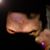 Elby Rogers's profile image