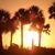 Carrie Cox Callicutt's profile image