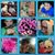 Dyan LaCroix's profile image