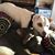 Christine Dunn-Stewart's profile image