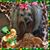 Connie Fletcher's profile image