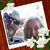 Margi Ann Cook's profile image