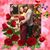 Xiomara Sanchez's profile image