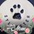 Jessica Lynne Stenger's profile image