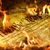 Nathan Douglas Lindeman's profile image