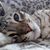 Teri Prevost-Schlee's profile image