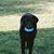 Margaret Schuck's profile image