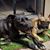 Deb Colomb's profile image