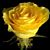 Mary Ann Bockmon Witt's profile image