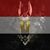 Amir Shenouda's profile image