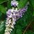 Lori Robinett's profile image