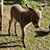 Chris Jones's profile image