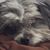 Gloria Aldecova's profile image