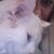 Maria Dean's profile image