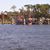 Priscilla K Cahoon's profile image