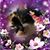 Erin Maureen McCreary's profile image
