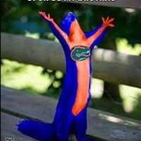 Bill Ham's profile image