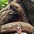 Kimberly Chavers's profile image
