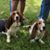 Linda Parkinson Brase's profile image