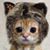 Lori Blake's profile image