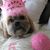 Gizzelle Nonan's profile image