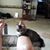 Bonnie Blegseth's profile image