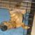 Cathy Peay's profile image