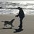 Danny Halloran's profile image
