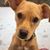 Karen Russell Carroll's profile image