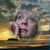 Gwen Caldwell's profile image