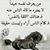 Ryad Jawad's profile image