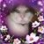 Eileen Finnegan's profile image