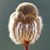 Bobby Morrill's profile image