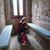 Sandra Tadeo's profile image