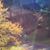 Cheryl Wilson's profile image
