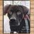 Debra Peden's profile image