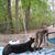 Penny Reeves Fuller's profile image