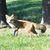 Brenda Hansen's profile image