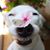 Susan Ririe's profile image