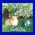 Carrie Young's profile image