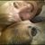 Linda Johnson's profile image