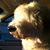 Hobson Sullivan's profile image
