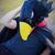 Daniel Jongeward's profile image