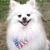 Warner A. Saxton's profile image