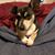 Jackie Pennington's profile image