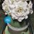 Annel Reyes's profile image