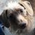 Holly Calhoun's profile image