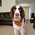 Brent Carroll's profile image