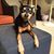 Brian Clark's profile image